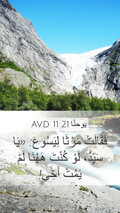 يوحنَّا 11:21 AVD Bible Verse Image