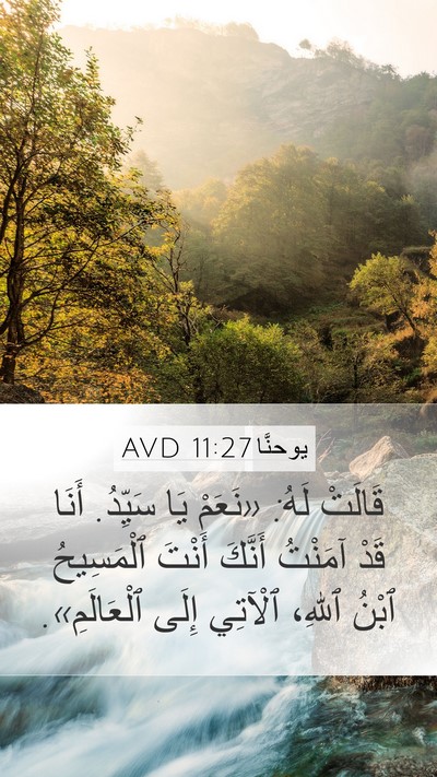 يوحنَّا 11:27 AVD Bible Verse Image