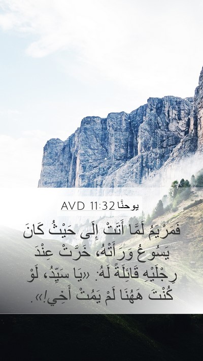 يوحنَّا 11:32 AVD Bible Verse Image