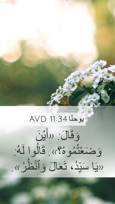 يوحنَّا 11:34 AVD Bible Verse Image