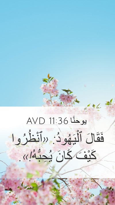 يوحنَّا 11:36 AVD Bible Verse Image