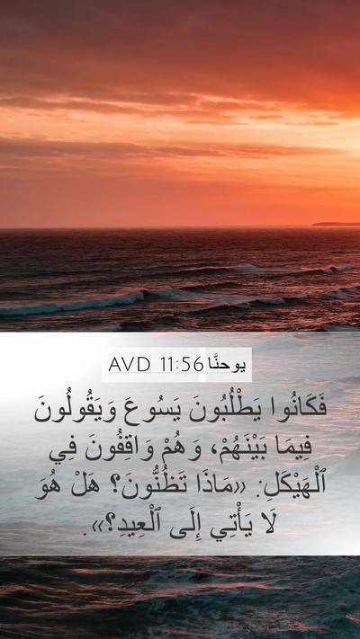 يوحنَّا 11:56 AVD Bible Verse Image