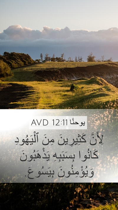 يوحنَّا 12:11 AVD Bible Verse Image