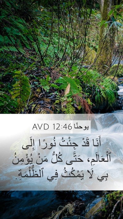يوحنَّا 12:46 AVD Bible Verse Image