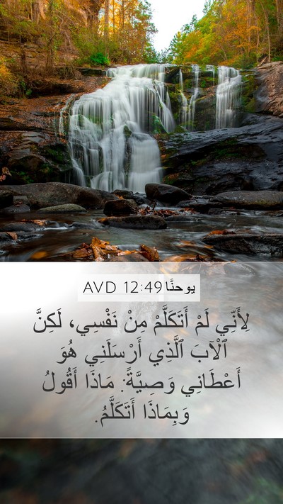 يوحنَّا 12:49 AVD Bible Verse Image