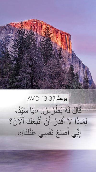 يوحنَّا 13:37 AVD Bible Verse Image