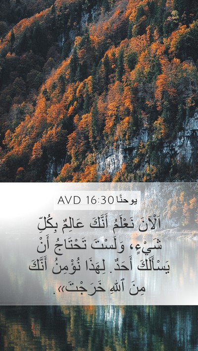يوحنَّا 16:30 AVD Bible Verse Image