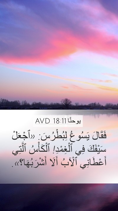يوحنَّا 18:11 AVD Bible Verse Image
