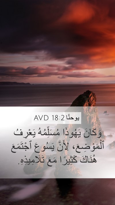 يوحنَّا 18:2 AVD Bible Verse Image