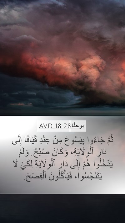 يوحنَّا 18:28 AVD Bible Verse Image