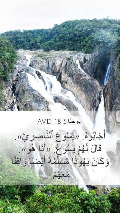 يوحنَّا 18:5 AVD Bible Verse Image