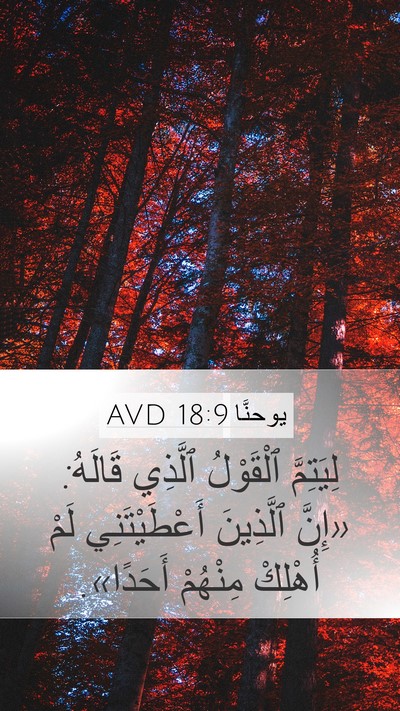 يوحنَّا 18:9 AVD Bible Verse Image