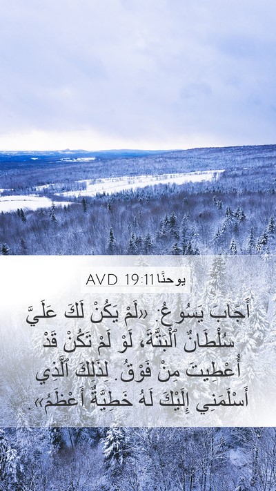 يوحنَّا 19:11 AVD Bible Verse Image
