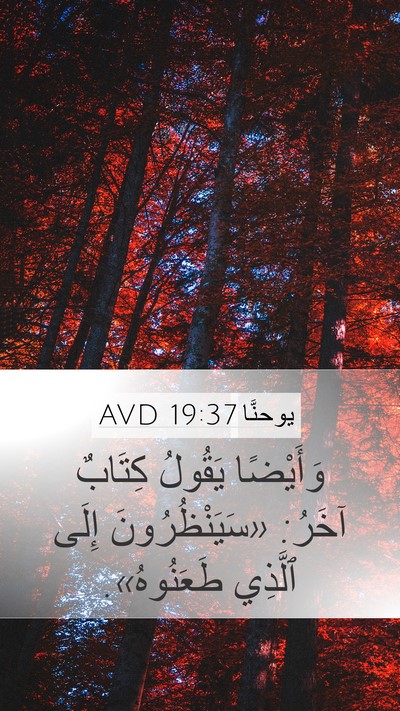 يوحنَّا 19:37 AVD Bible Verse Image