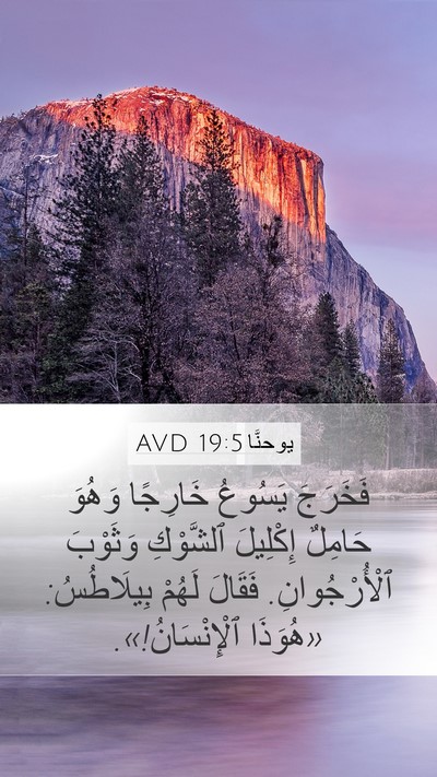 يوحنَّا 19:5 AVD Bible Verse Image