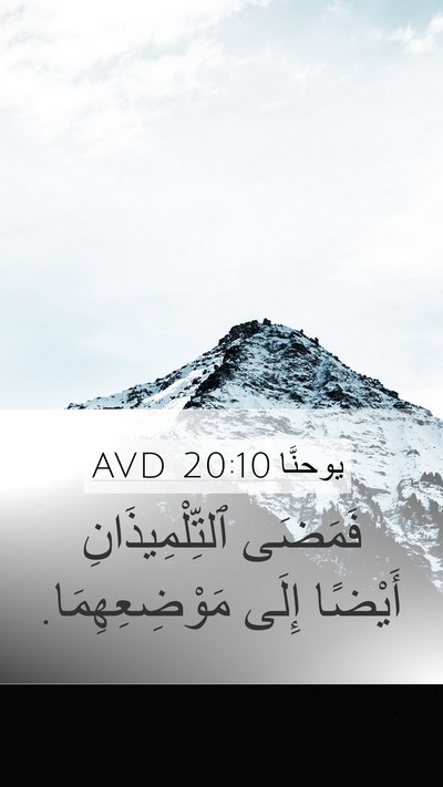 يوحنَّا 20:10 AVD Mobile Phone Wallpaper - فَمَضَى ٱلتِّلْمِيذَانِ - Mobile Bible Verse Wallpaper
