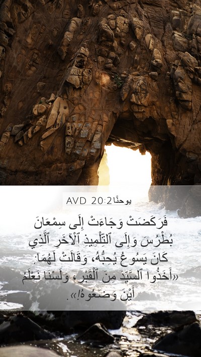 يوحنَّا 20:2 AVD Bible Verse Image