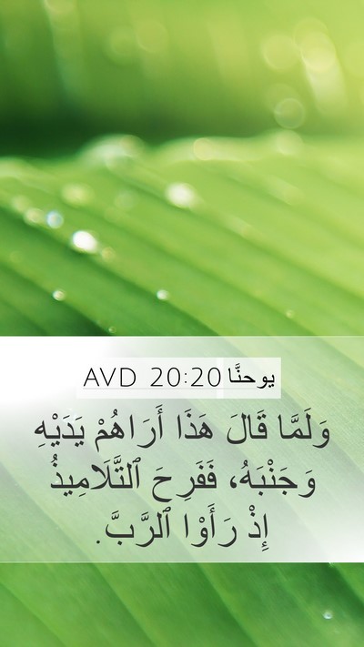 يوحنَّا 20:20 AVD Bible Verse Image