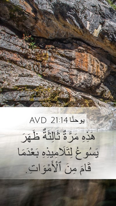 يوحنَّا 21:14 AVD Bible Verse Image