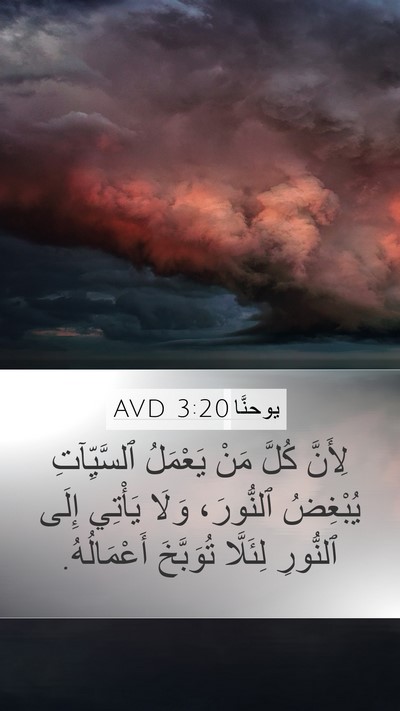 يوحنَّا 3:20 AVD Bible Verse Image