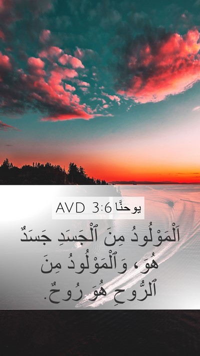 يوحنَّا 3:6 AVD Bible Verse Image