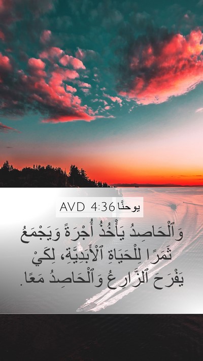 يوحنَّا 4:36 AVD Mobile Phone Wallpaper - وَٱلْحَاصِدُ يَأْخُذُ - Mobile Bible Verse Wallpaper
