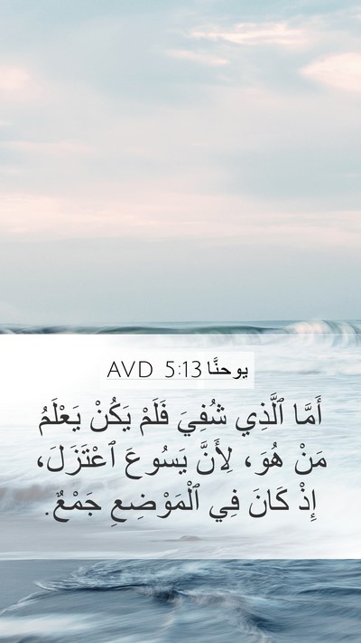 يوحنَّا 5:13 AVD Bible Verse Image