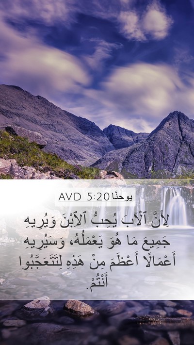 يوحنَّا 5:20 AVD Bible Verse Image