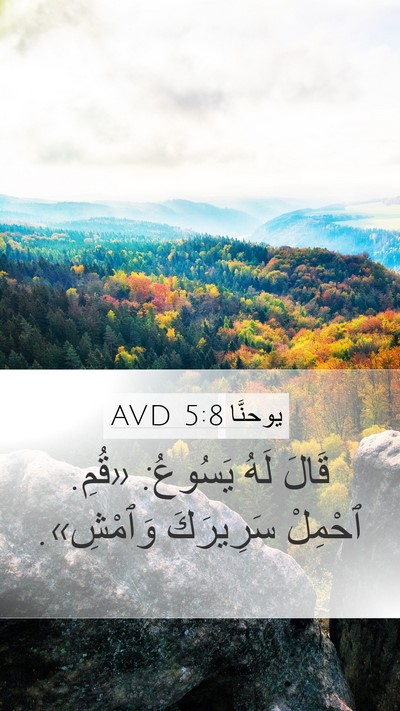 يوحنَّا 5:8 AVD Bible Verse Image