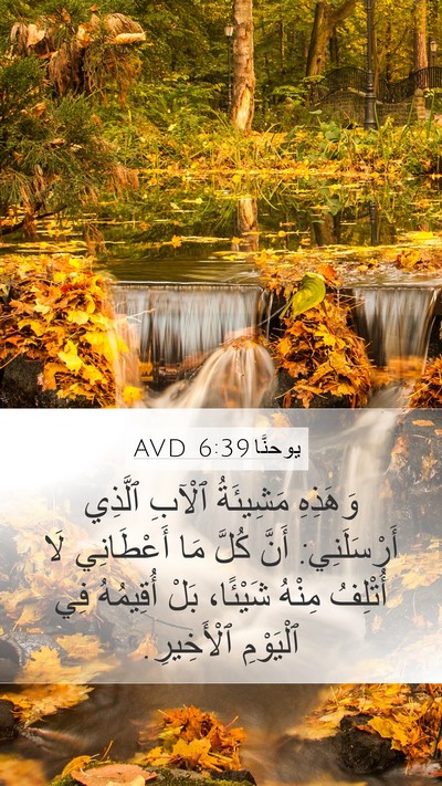 يوحنَّا 6:39 AVD Bible Verse Image