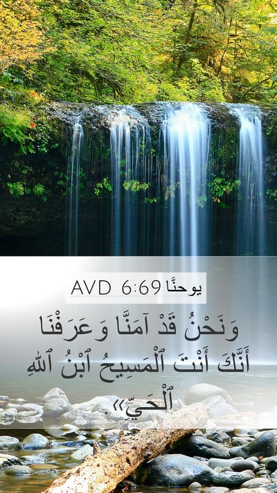 يوحنَّا 6:69 AVD Mobile Phone Wallpaper - وَنَحْنُ قَدْ آمَنَّا - Mobile Bible Verse Wallpaper