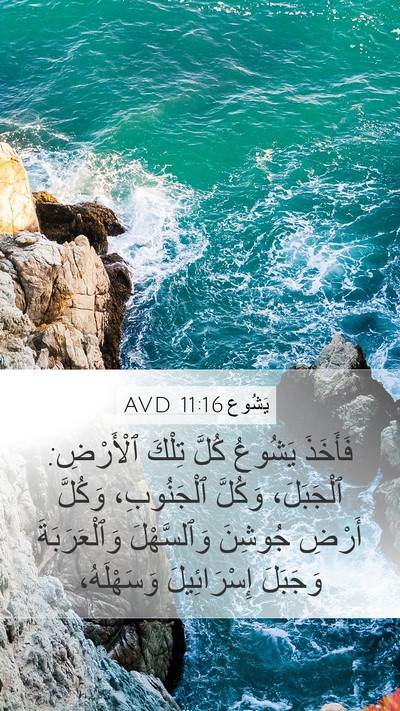يَشُوع 11:16 AVD Bible Verse Image