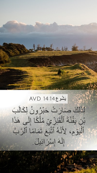 يَشُوع 14:14 AVD Mobile Phone Wallpaper - لِذَلِكَ صَارَتْ - Mobile Bible Verse Wallpaper