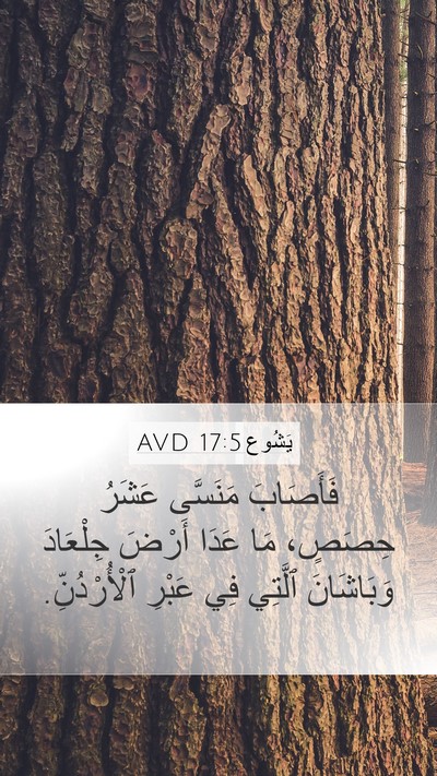يَشُوع 17:5 AVD Mobile Phone Wallpaper - فَأَصَابَ مَنَسَّى عَشَرُ - Mobile Bible Verse Wallpaper