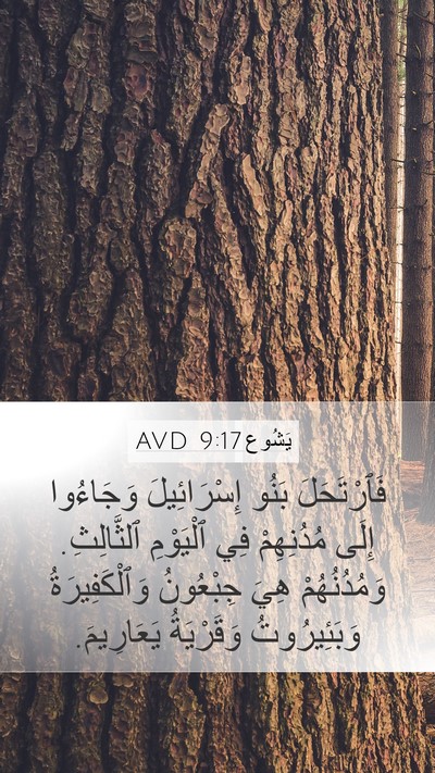 يَشُوع 9:17 AVD Bible Verse Image