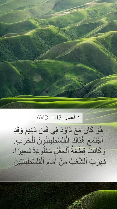 ١ أخبار 11:13 AVD Bible Verse Image