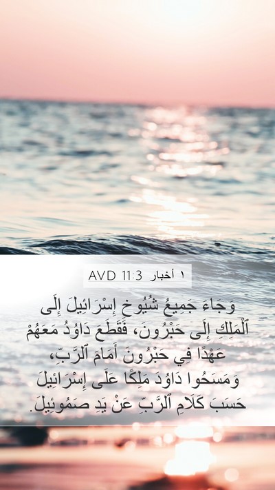 ١ أخبار 11:3 AVD Bible Verse Image