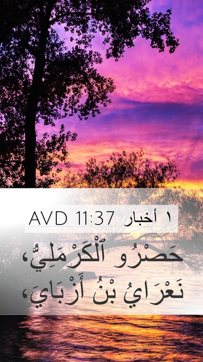 ١ أخبار 11:37 AVD Bible Verse Image