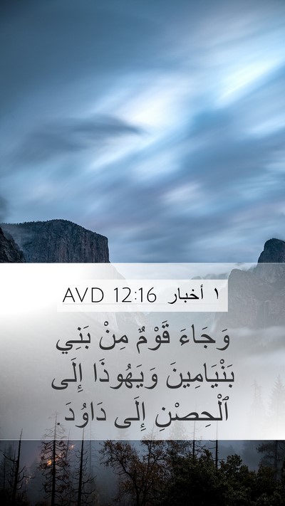 ١ أخبار 12:16 AVD Bible Verse Image