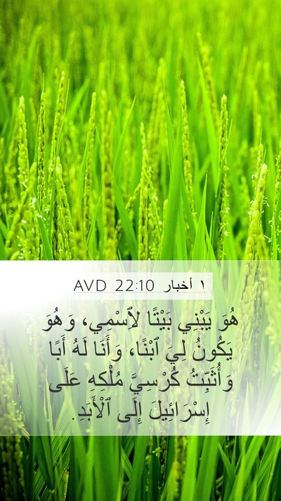 ١ أخبار 22:10 AVD Bible Verse Image