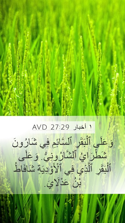 ١ أخبار 27:29 AVD Bible Verse Image
