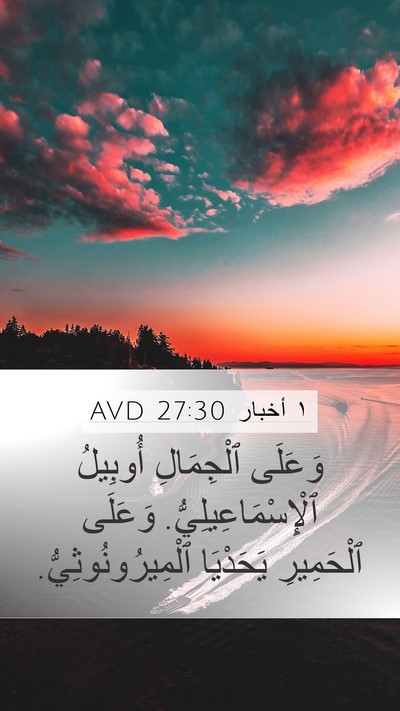 ١ أخبار 27:30 AVD Mobile Phone Wallpaper - وَعَلَى ٱلْجِمَالِ - Mobile Bible Verse Wallpaper