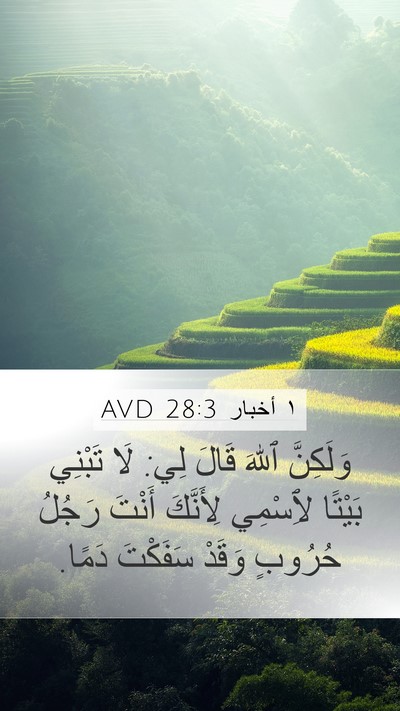 ١ أخبار 28:3 AVD Bible Verse Image