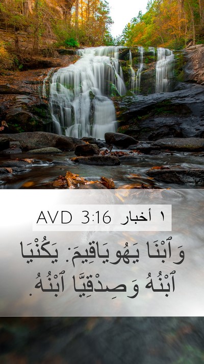 ١ أخبار 3:16 AVD Bible Verse Image