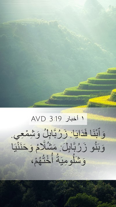 ١ أخبار 3:19 AVD Bible Verse Image