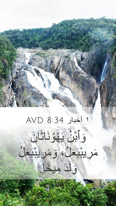 ١ أخبار 8:34 AVD Bible Verse Image