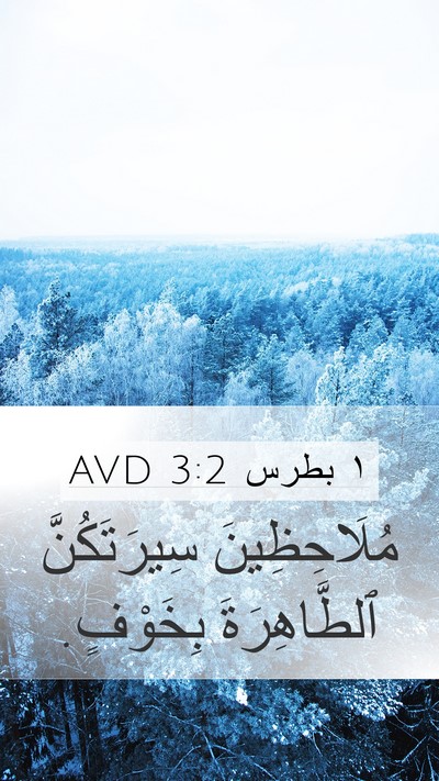١ بطرس 3:2 AVD Mobile Phone Wallpaper - مُلَاحِظِينَ سِيرَتَكُنَّ - Mobile Bible Verse Wallpaper