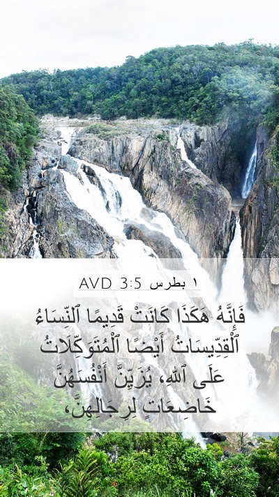١ بطرس 3:5 AVD Bible Verse Image