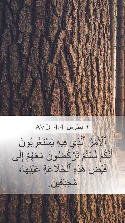 ١ بطرس 4:4 AVD Bible Verse Image