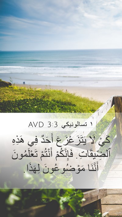 ١ تسالونيكي 3:3 AVD Bible Verse Image